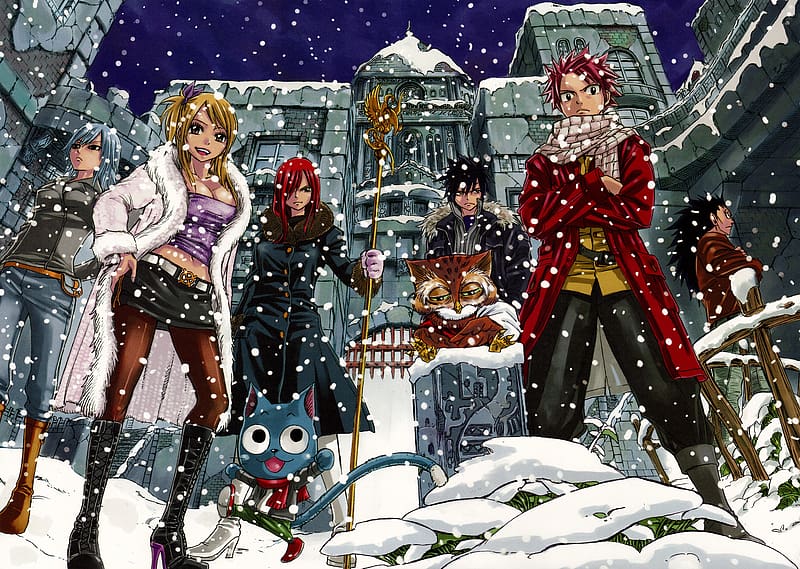 Anime, Fairy Tail, Lucy Heartfilia, Natsu Dragneel, Erza Scarlet, Gray Fullbuster, Happy (Fairy Tail), Juvia Lockser, Gajeel Redfox, HD wallpaper