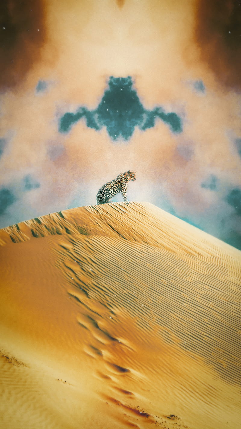 HD desert tiger wallpapers | Peakpx