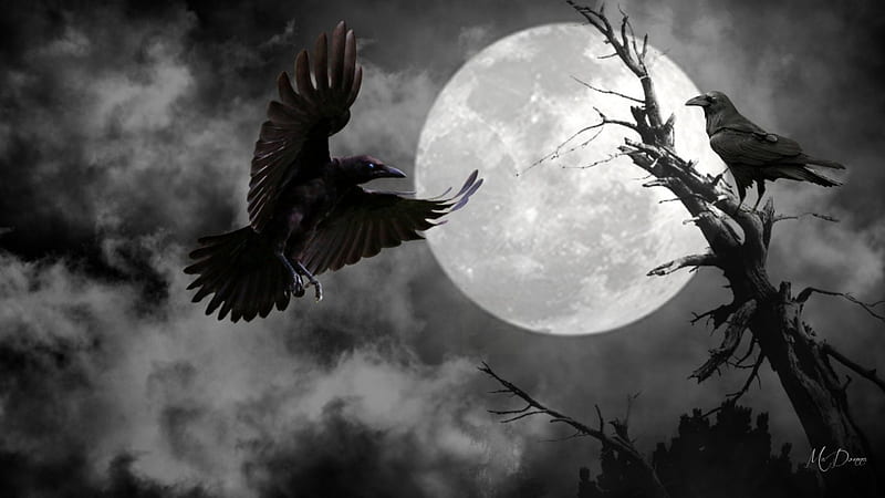 Raven's Moon by MaDonna, sky, clouds, dead tree, fog, mist, ravens, goth, gothic, full moon, dark, HD wallpaper