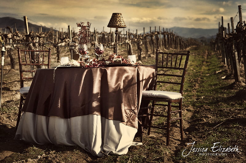 Winery Wedding, table, lamp, old chairs, glasses, tablecloth, sky, winery, HD wallpaper