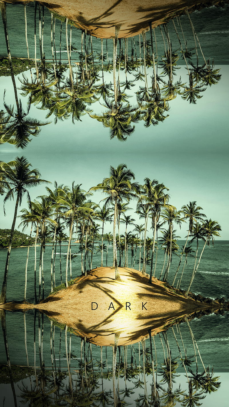 Dark Mirissa SL, beach, coconut, iphone, lanka, netflix, ocean, sri lanka, trees, HD phone wallpaper