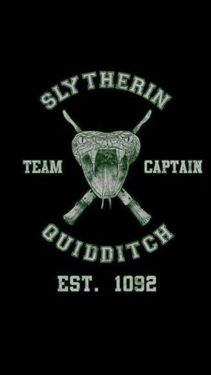 Slytherin Quidditch, harry potter, hogwarts, HD phone wallpaper