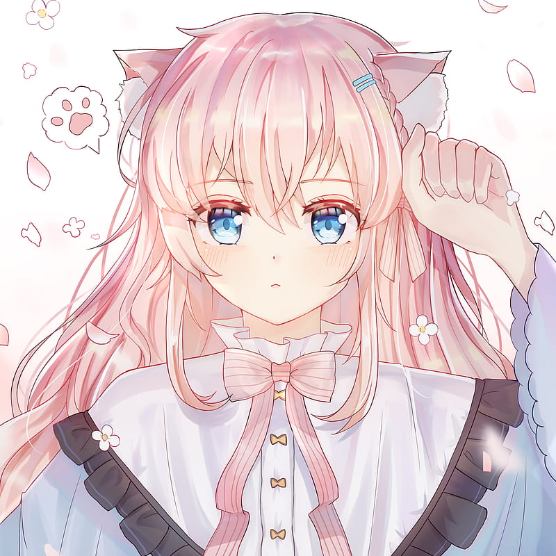 Neko, girl, ears, cute, anime, pink, HD phone wallpaper | Peakpx
