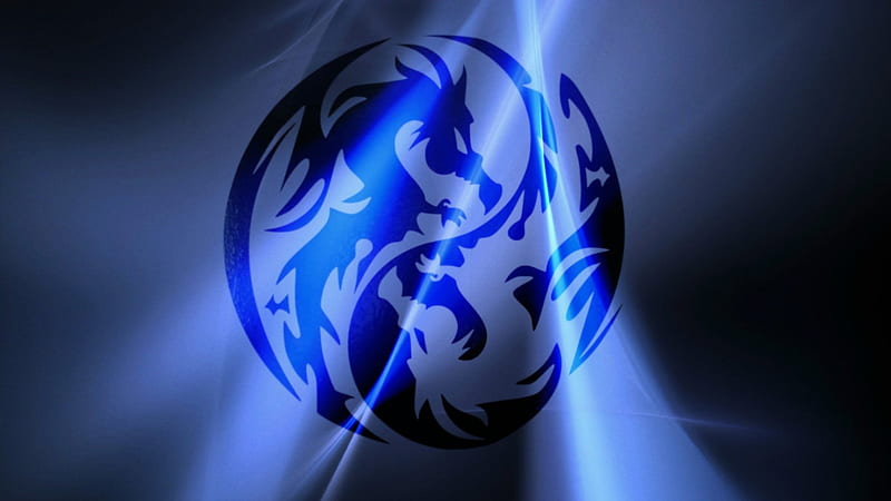 twin dragons enlighted, yin yang, dragon, blue, light, HD wallpaper