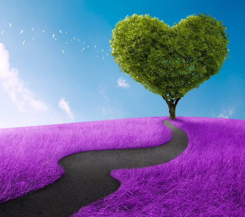 Love Tree, tree, purple, romance, love, heart, field, HD wallpaper