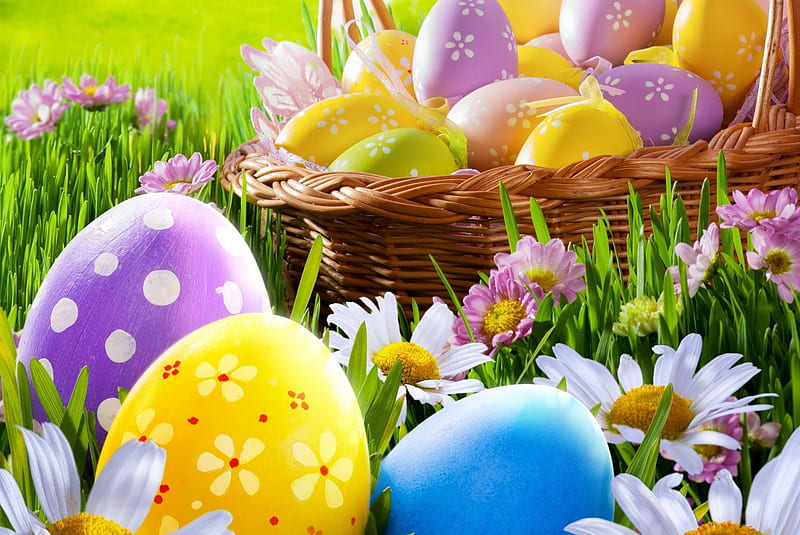 easter, color, flowers, happy, meadow, spring, HD wallpaper
