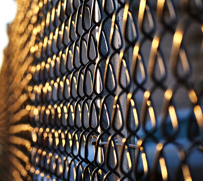 wire fences, HD wallpaper