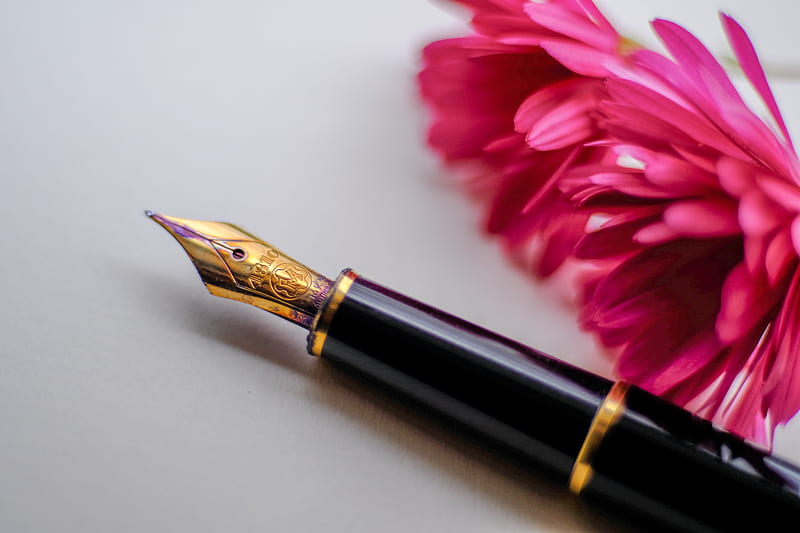 black and gold-colored fountain pen beside flower, HD wallpaper