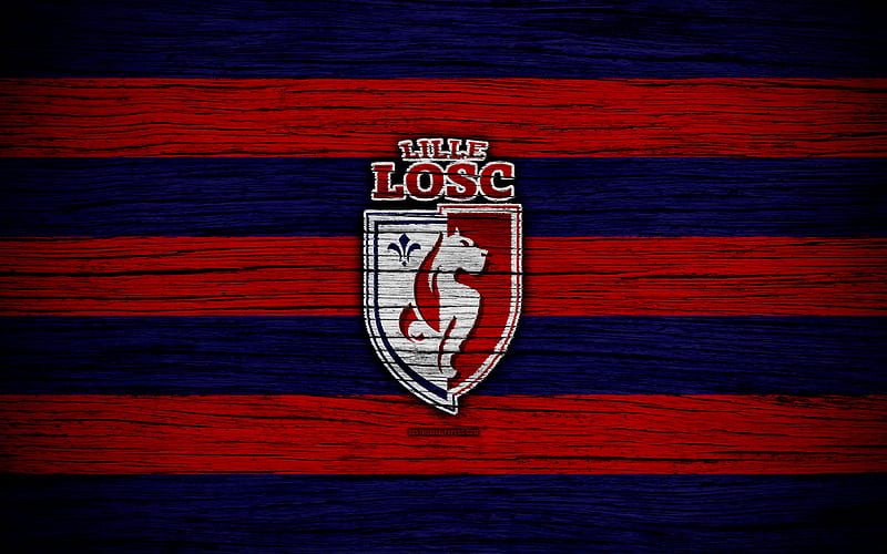 Lille France, Liga 1, wooden texture, Lille FC, Ligue 1, soccer, football club, FC Lille, HD wallpaper