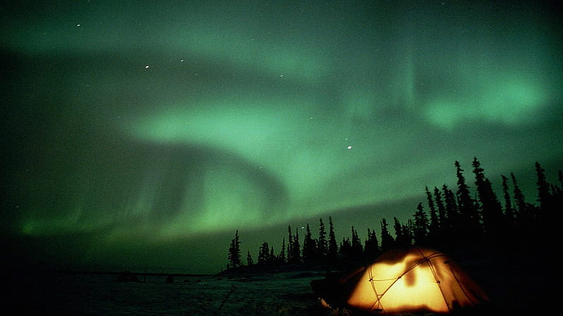 Full Camping Ground Under Aurora Lights - Rare Gallery, HD wallpaper