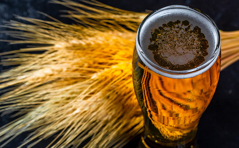 Beer Glass, Autumn Ultra, Food and Drink, Autumn, Beer, Wood, Party, Wheat, Gold, Bright, Foam, Fresh, Golden, Glass, Fall, Closeup, Spikelets, Food, drink, Cereal, beverage, alcohol, grain, stilllife, barley, health, HD wallpaper
