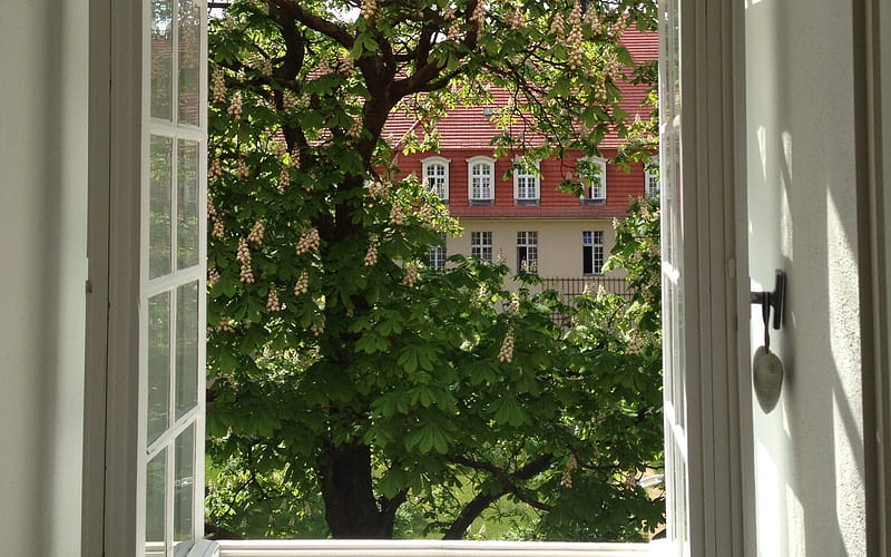 Spring Outside, spring, house, window, horse-chestnut, HD wallpaper