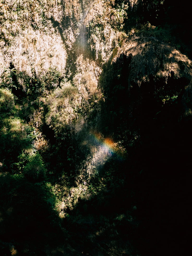 waterfall, cliff, rainbow, vegetation, jungle, HD phone wallpaper