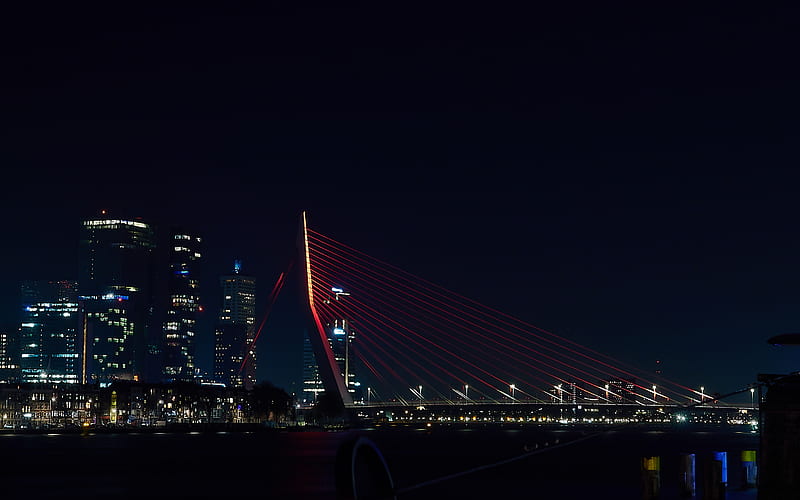 Erasmusbrug, Rotterdam, Willemsbrug, Erasmus Bridge, Netherlands, night, suspension bridge, cityscape, HD wallpaper