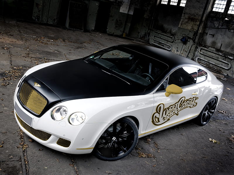 Bentley Continental GT, competition, continental, gt, bentley, edo, hop, tuning, gimp, HD wallpaper