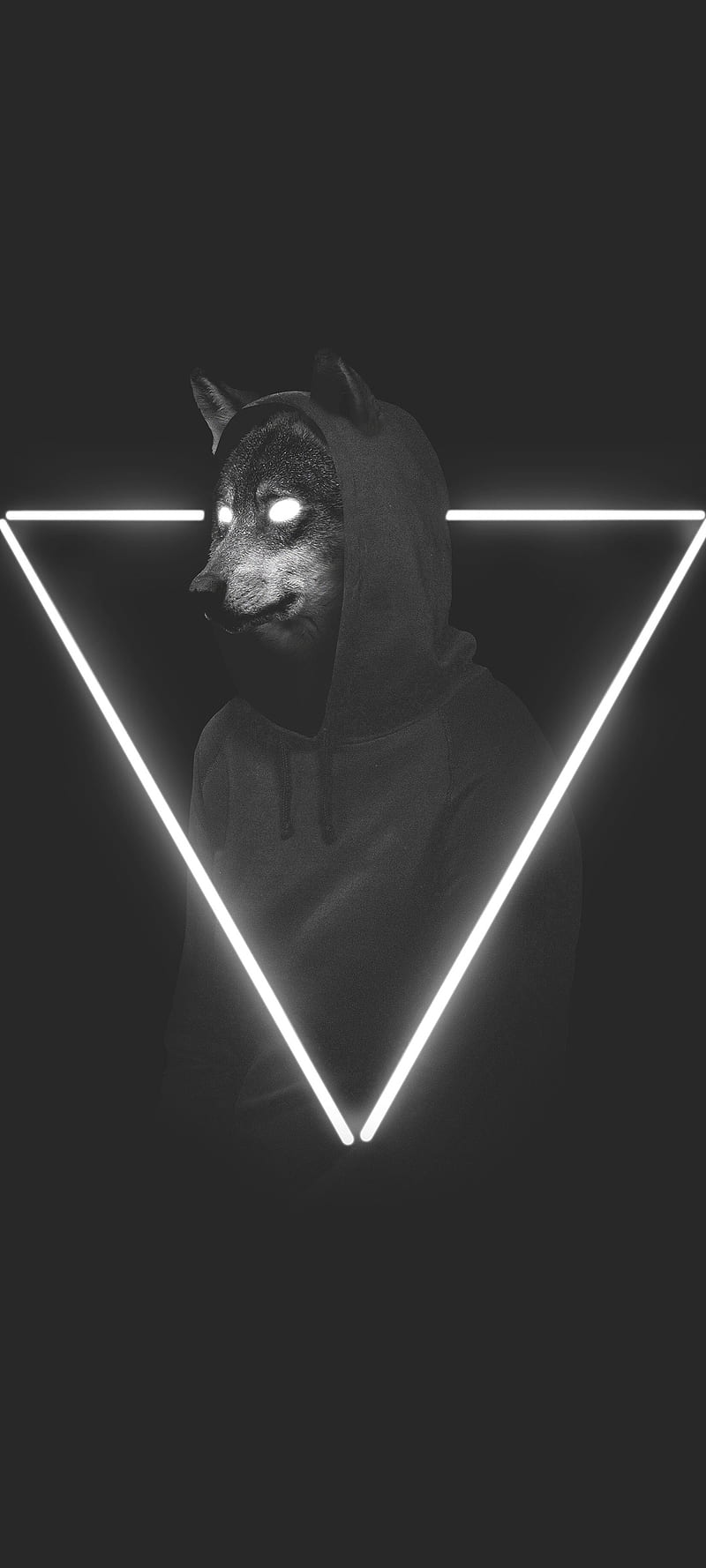 Black, looksgood, thoughts, cool, blackanddark, things, doggy, triangl, HD phone wallpaper