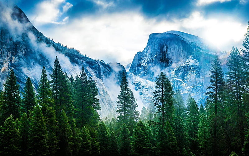 mountain landscape, rock, forest, USA, Yosemite National Park, HD wallpaper