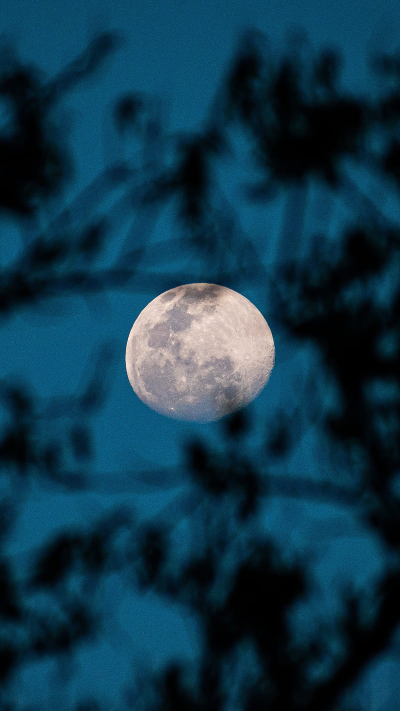 Moon, amoled, fondo de luna, moon, luna llena, grapher, luna, HD phone  wallpaper | Peakpx