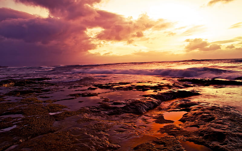 Hawaii beach, coast, sunset, Pacific Ocean, USA, America, HD wallpaper