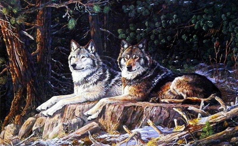 Leaders of the Pack, forest, trees, artwork, winter, predator, snow, wolfpack, painting, wolf, wolves, HD wallpaper