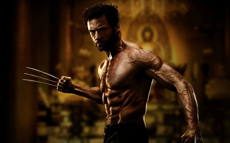 The Wolverine (2013), 2013, Hugh Jackman, film, The Wolverine, Movie, X  Men, HD wallpaper | Peakpx