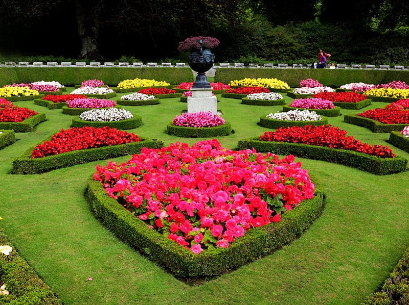 Cornwall Botanical Garden, blossoms, buxus, park, lawn, beds, HD wallpaper