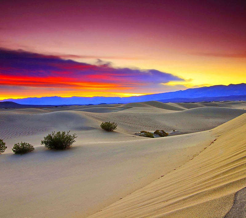 desert, colorful, dusk, HD wallpaper