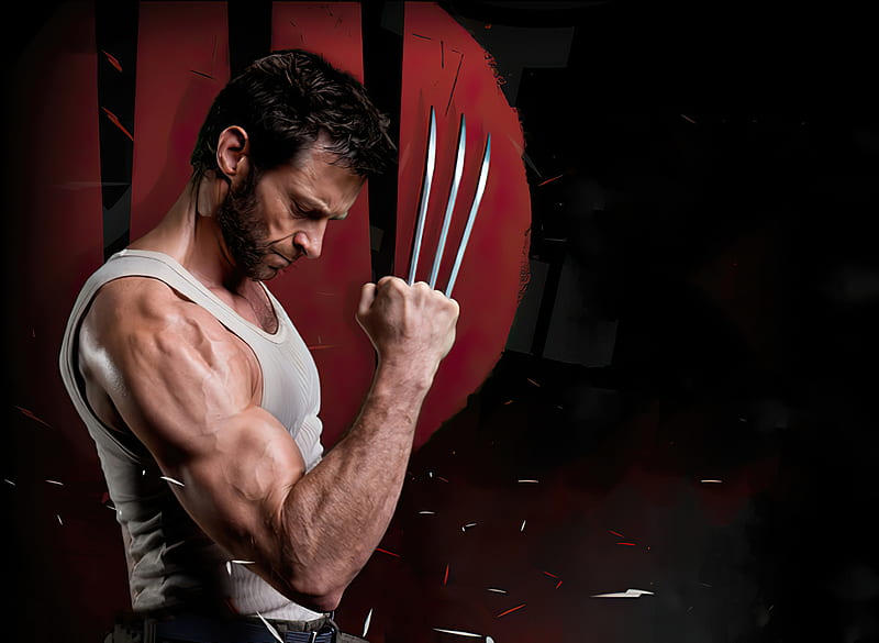 Wolverine Hugh Jackman 2020, wolverine, superheroes, movies, HD wallpaper