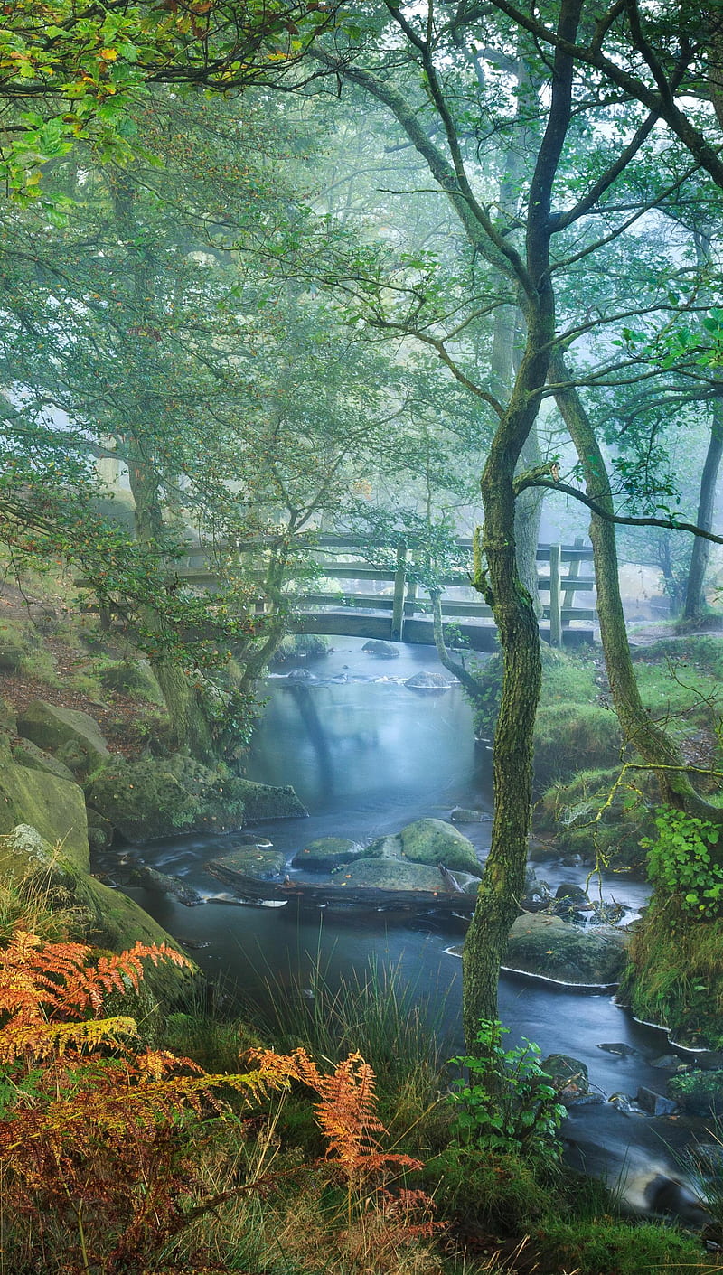 Bridge, cool, green, river, tree, waterfall, HD phone wallpaper