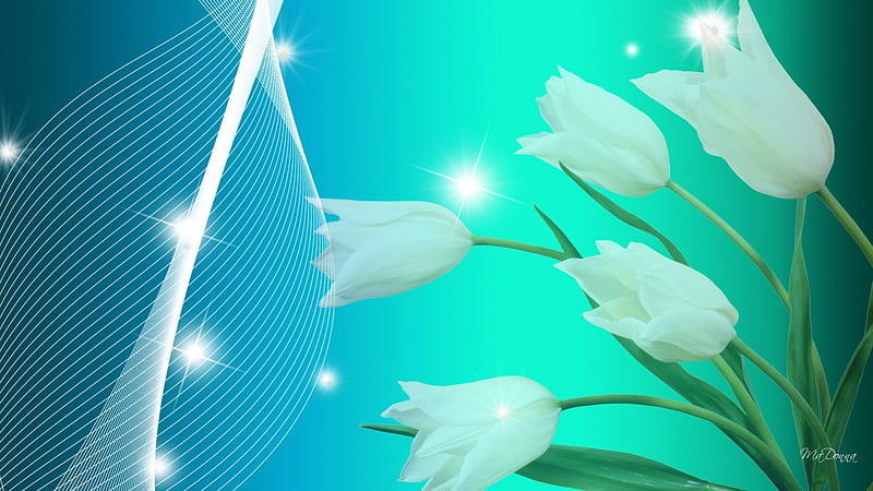 White Tulips Sparkle, stars, glitter, shine, spring, cyan, sparkle, gradient, flowers, tulips, HD wallpaper
