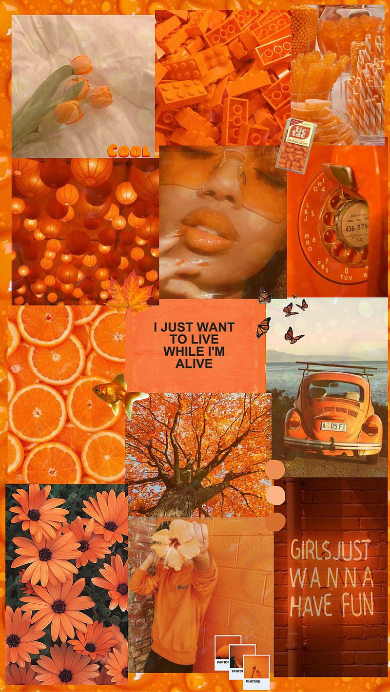 Aesthetic orange, cool, edit, HD phone wallpaper