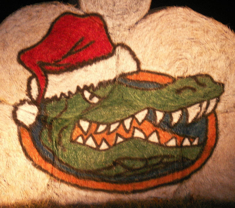 Gator Christmas, gators, hay, uf, HD wallpaper