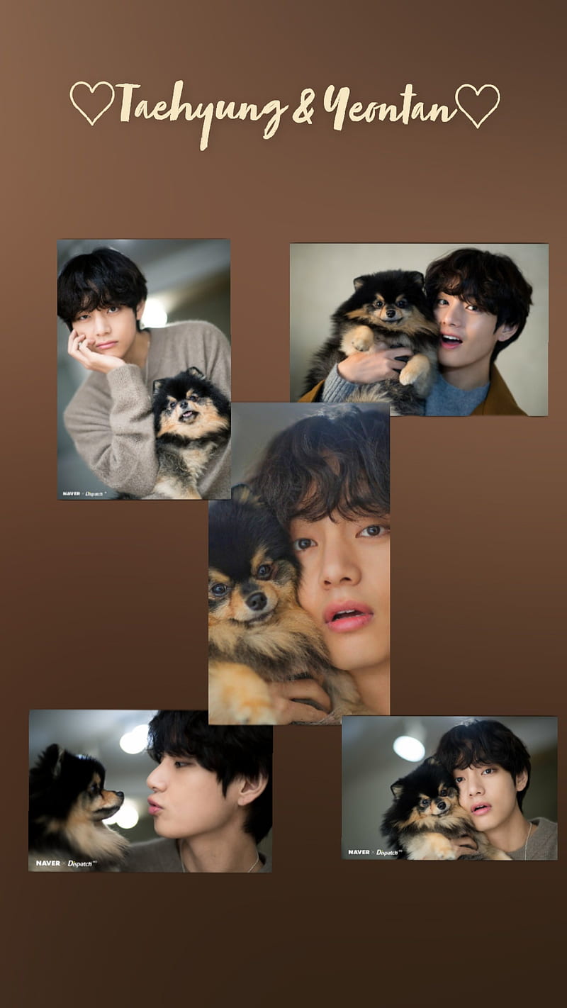 Taehyung Yeontan, cute, love, lovely, puppy, HD phone wallpaper | Peakpx