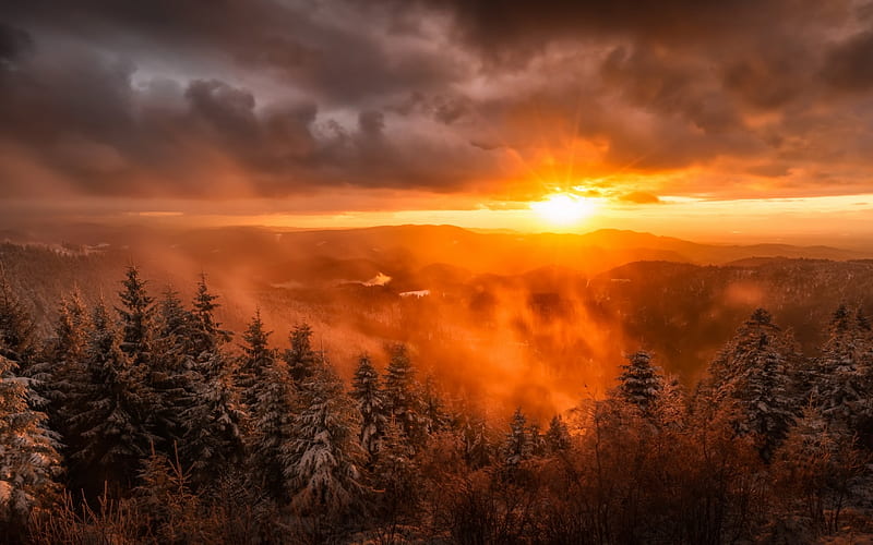 forest, winter landscape, morning, fog, snow, winter, mountains, HD wallpaper