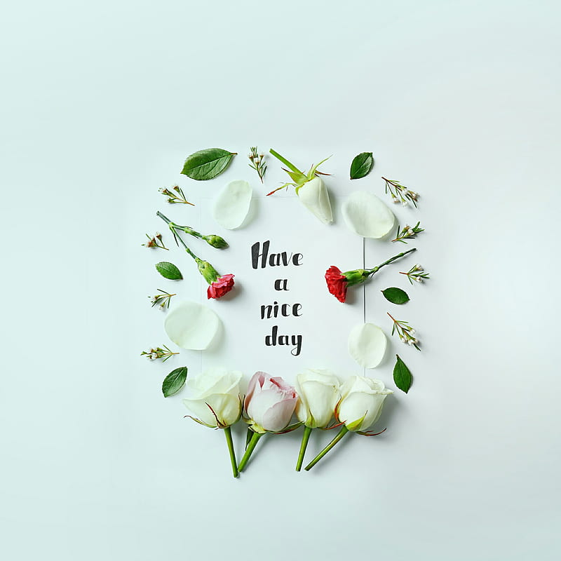 Have a nice day, anniversary, bonito, cute, flowers, happy, inscription, rose, roses, text, whishes, HD phone wallpaper