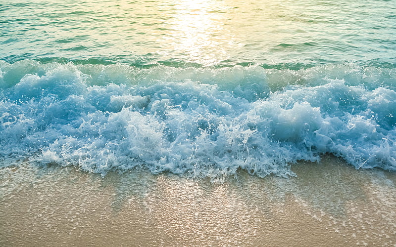 Brisa marina, mañana, amanecer, mar, verano, playa, paisaje marino, Fondo  de pantalla HD | Peakpx