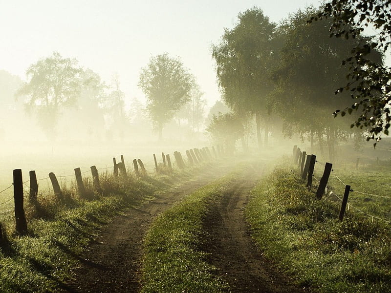 Misty Morning Lower Saxony Germany, nature, abstract, entertainment, HD wallpaper