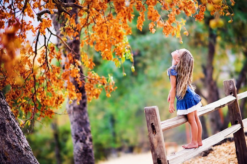 Autumn, forest, fall, woods, leaves, splendor, girl, autumn splendor, nature, child, HD wallpaper