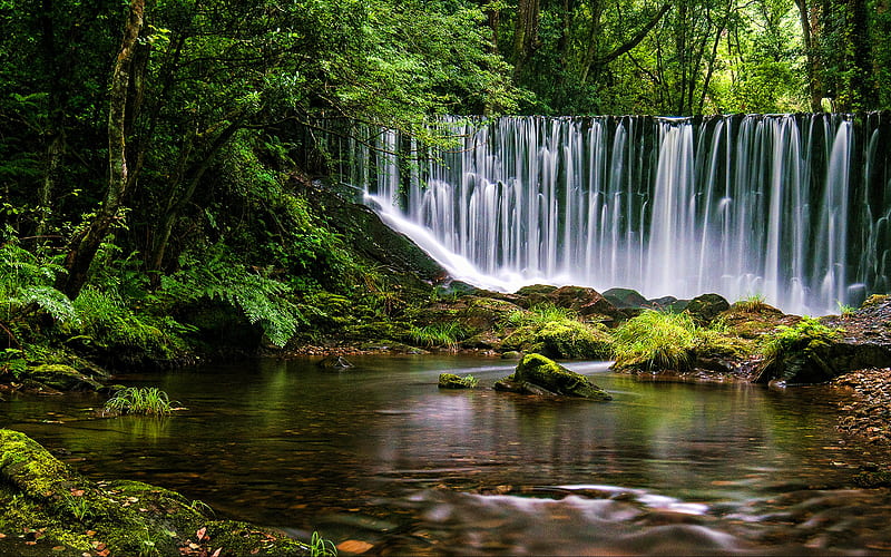Galicia, beautiful nature, waterfall, jungle, Spain, Europe, HD wallpaper