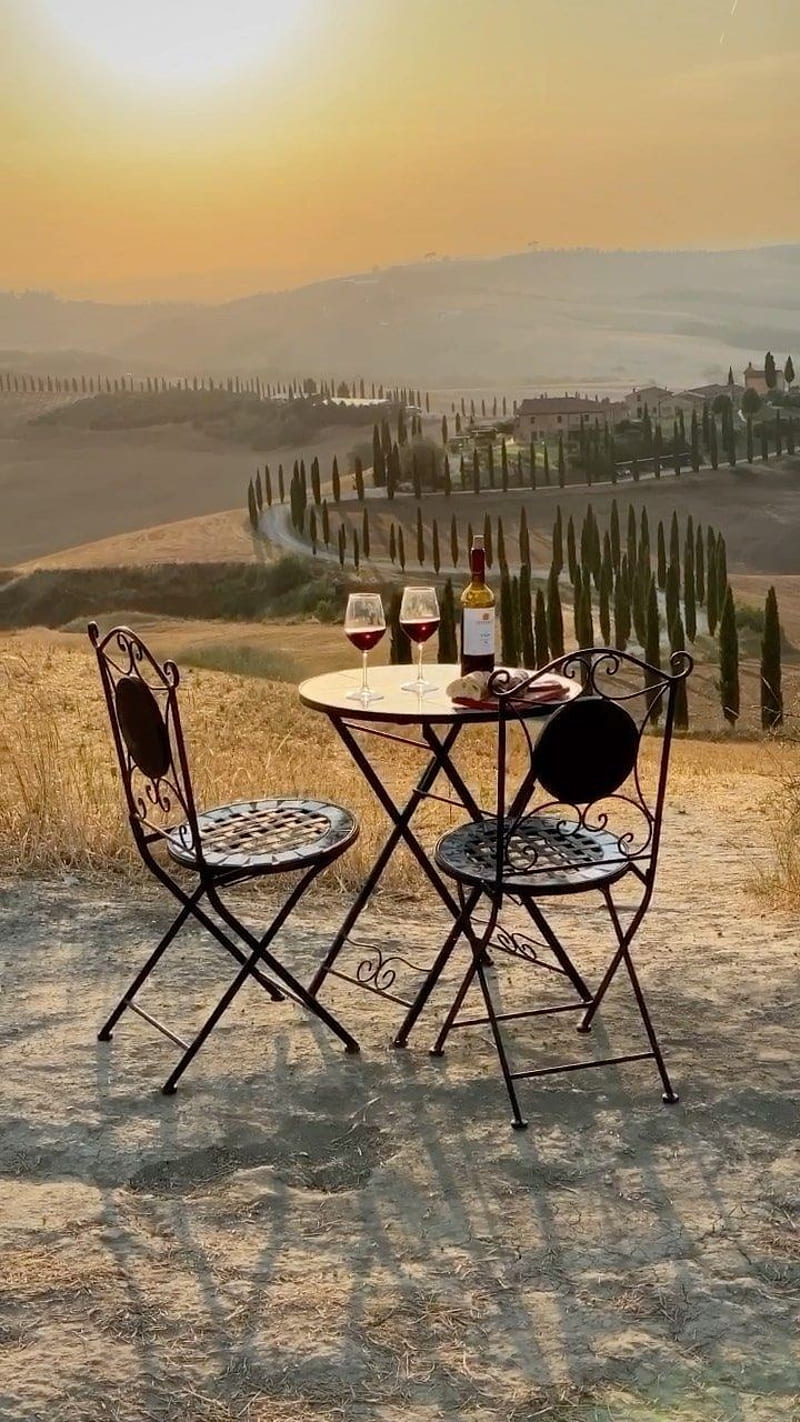 Toscany, italy, nature, toscana, vine, vino, HD phone wallpaper