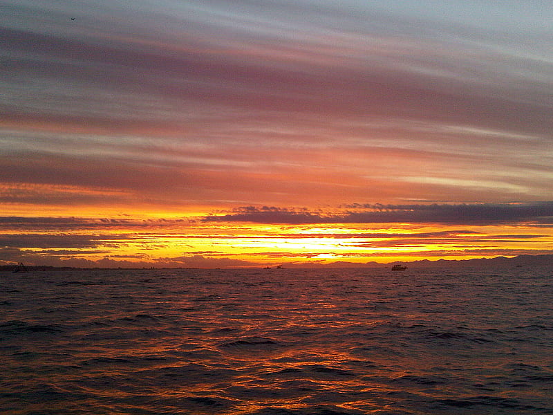 Puget Sound Sunset, sound, ocean, washington, firefox persona, sunset, sky, clouds, boats, water, bay, HD wallpaper