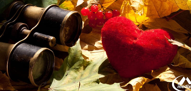 When I saw, fall season, leaves, red love, heart, HD wallpaper