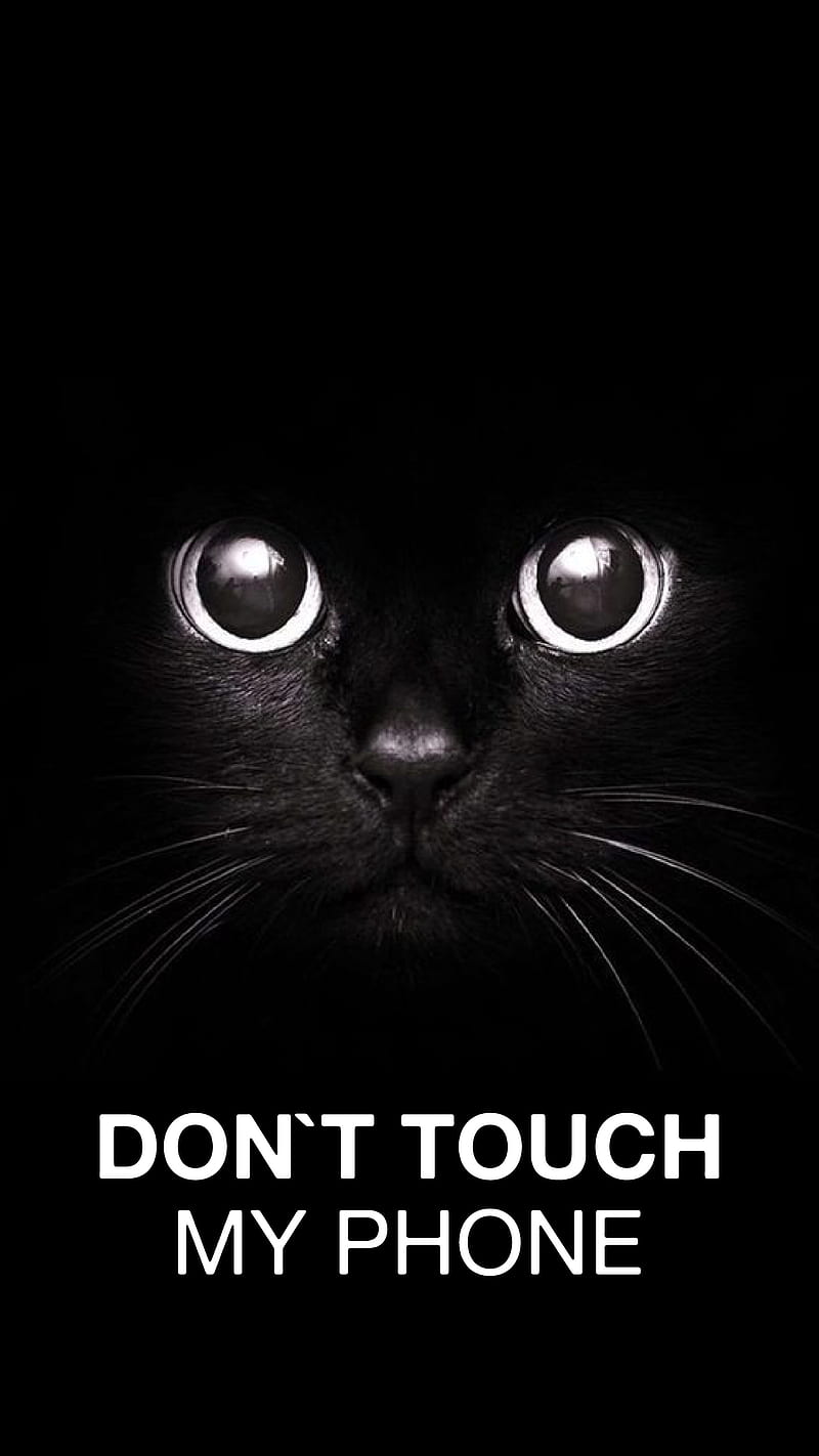 DontTouchMyPhone BC01, Black Cat, Dont Touch My Phone, Dont touch my phone , Locked screen, cute black cat, cute cat, cute , iphone lock screen , lock screen , pet, HD phone wallpaper
