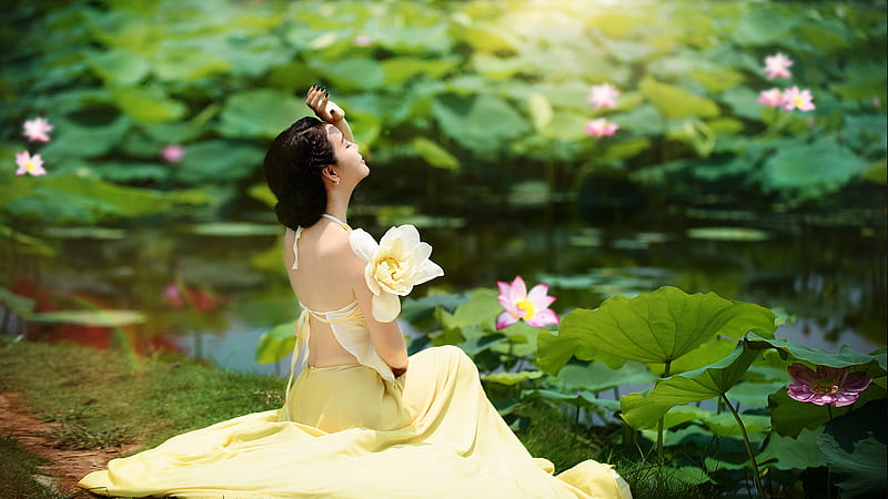 Beauty, lotus, model, yellow, woman, vara, girl, green, summer, flower, asian, HD wallpaper