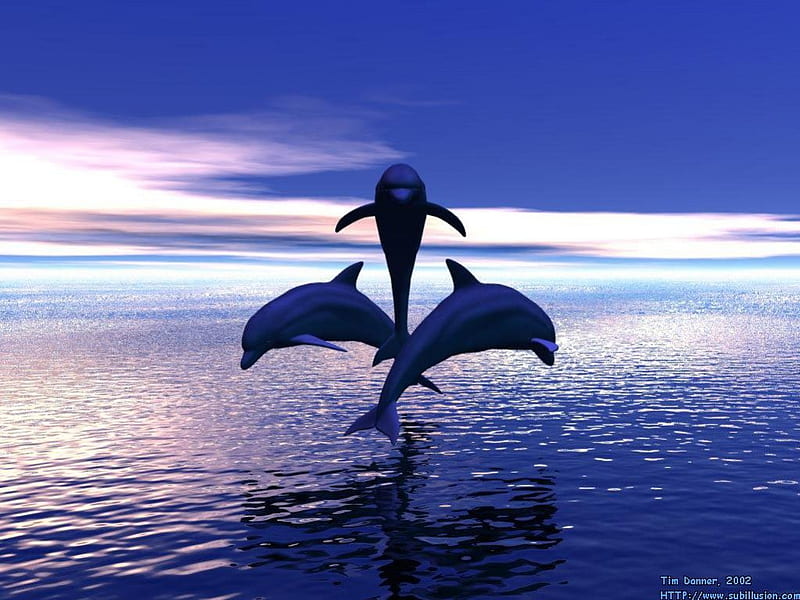 3 Dolphins Jumping out of the Water, out, Water, Cool, Jumping, HD