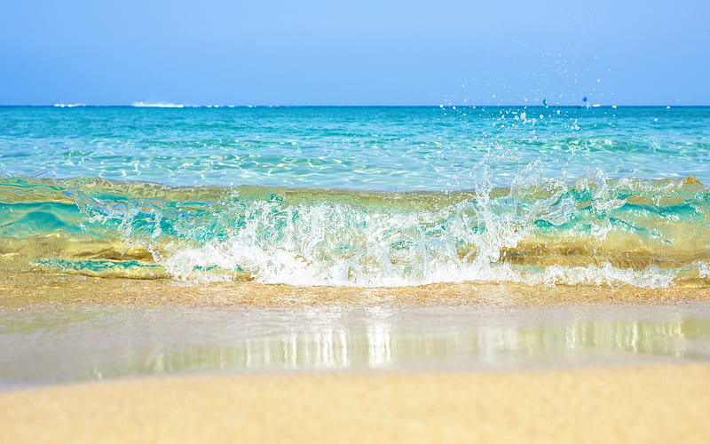 wave, sea, summer, beach, sand, water, seascape, splashing water, HD wallpaper