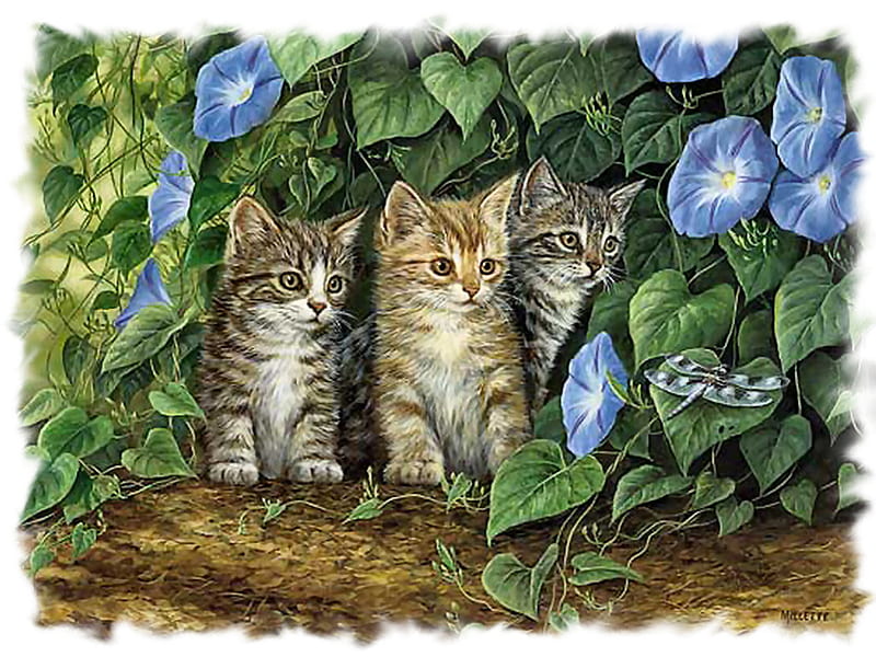 Triple Trouble - Cats F1, art, rosemary millette, millette, cat, artwork, floral, animal, morning glories, pet, feline, painting, dragonfly, flowers, kitten, HD wallpaper