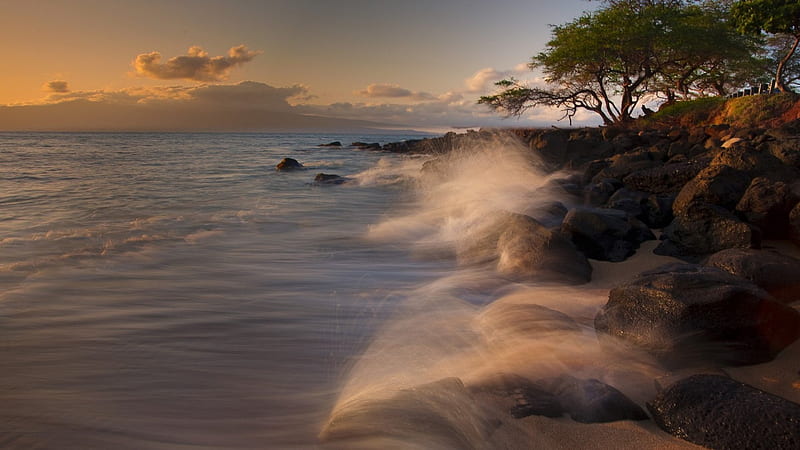 beautiful waves hitting rocky shore in maui, rocks, shore, waves, trees, sea, HD wallpaper