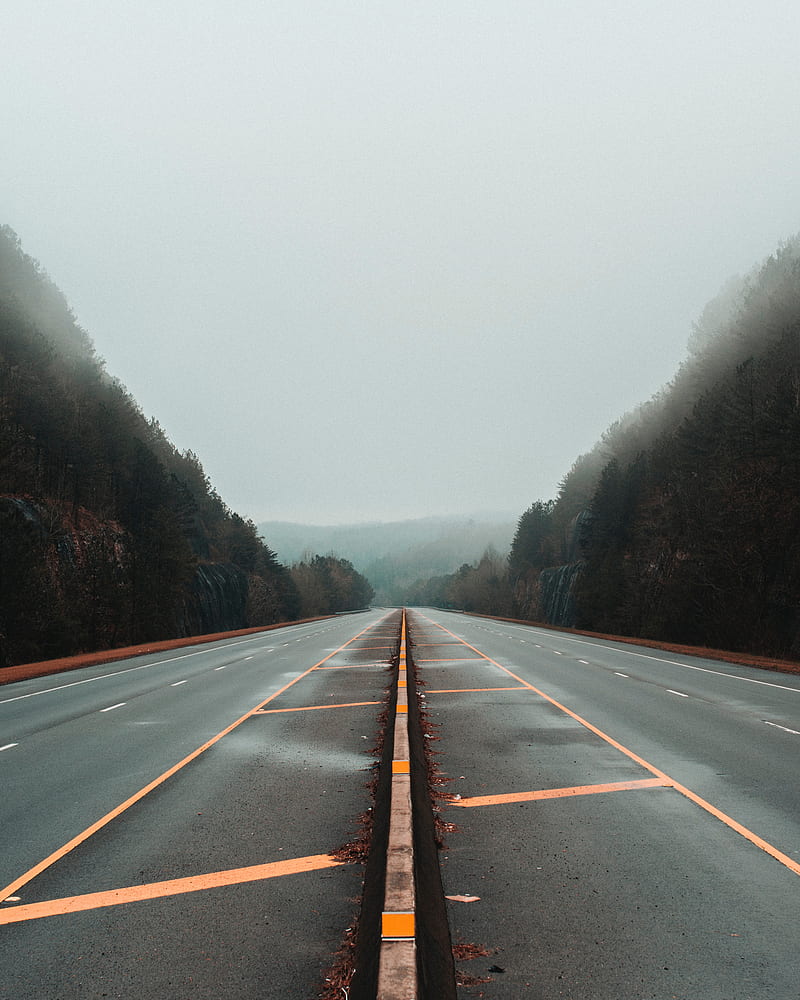 road, fog, marking, trees, lines, HD phone wallpaper