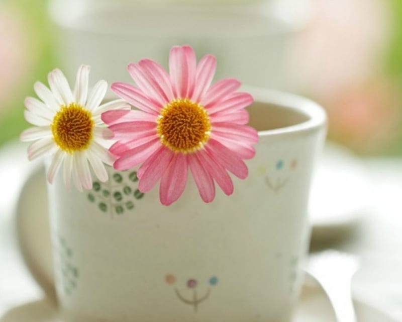 Cup of Flowers, cup, flowers, soft, pink, HD wallpaper | Peakpx